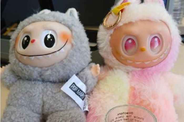 West Lothian Council’s Trading Standards team warns of counterfeit versions of Labubu dolls